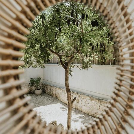 Bed and Breakfast Casa Chimi Tulum Exterior foto